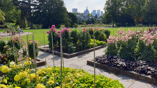 Picknick im Park Frankfurt