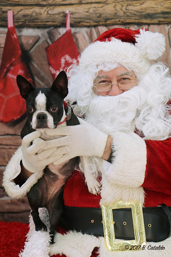 Chevrolet Dealer «Carter Chevrolet», reviews and photos, 1229 Main St, Manchester, CT 06040, USA