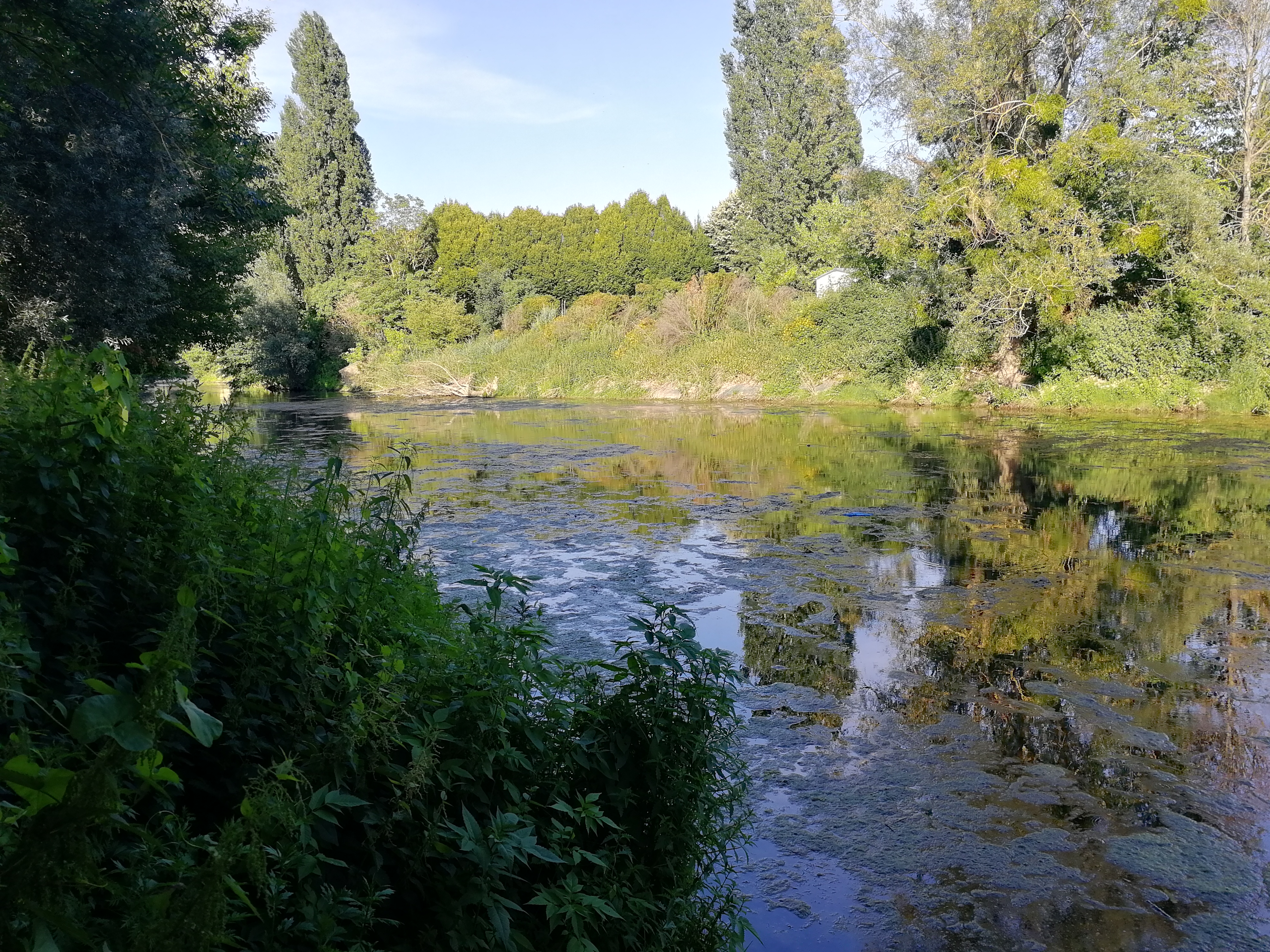 Photo n° 3 de l'avis de clara.' fait le 24/06/2020 à 16:59