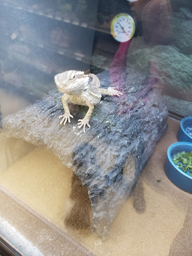 Pet Supply Store «Petco Animal Supplies», reviews and photos, 86 Storrs Rd, Mansfield Center, CT 06250, USA