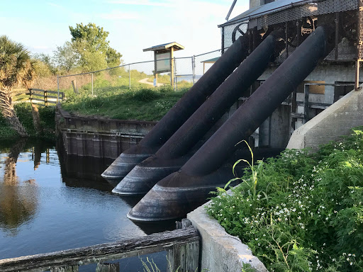 Nature Preserve «Lake Apopka Wildlife Drive», reviews and photos, 2803 Lust Rd, Apopka, FL 32703, USA