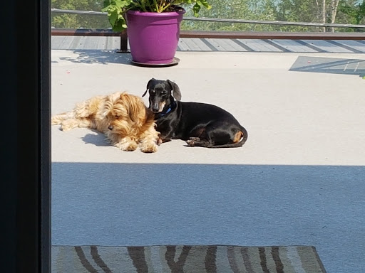 Lakeland Veterinary Clinic image