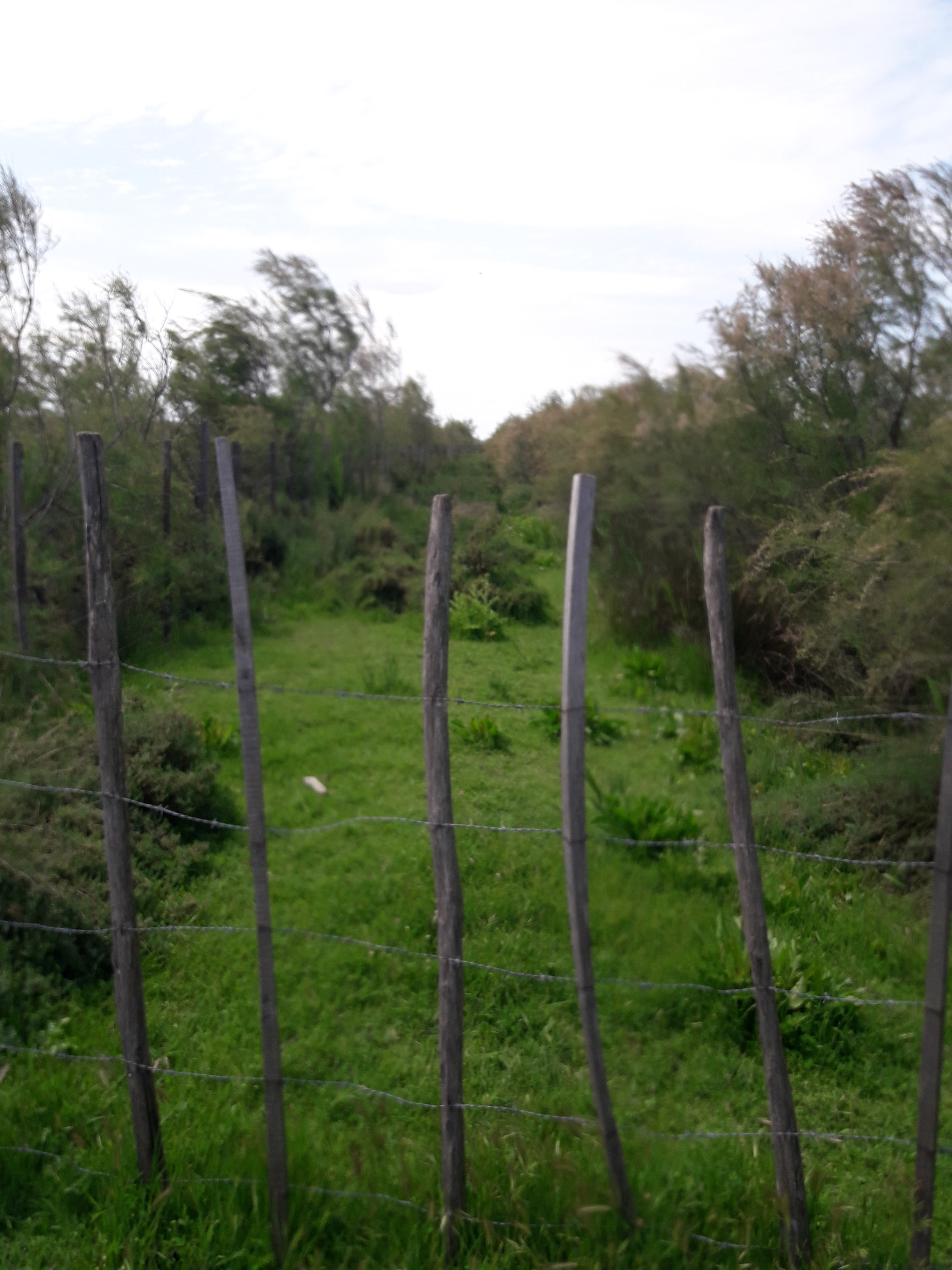Photo n° 14 de l'avis de Mireille.o fait le 07/05/2018 à 14:34