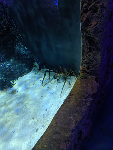 Aquarium «Via Aquarium», reviews and photos, 93 W Campbell Rd, Schenectady, NY 12306, USA