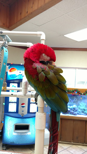 Car Wash «Paradise Full Service Car Wash & Detail Center», reviews and photos, 9201 Lyndale Ave S, Minneapolis, MN 55420, USA