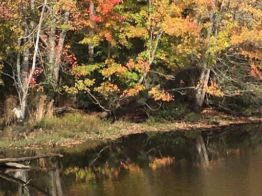 Public Golf Course «Newport News Golf Club at Deer Run», reviews and photos, 901 Clubhouse Way, Newport News, VA 23608, USA