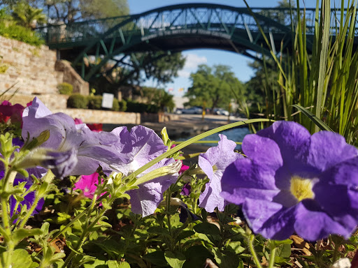 Park «Hemisfair Park», reviews and photos, 434 S Alamo St, San Antonio, TX 78205, USA