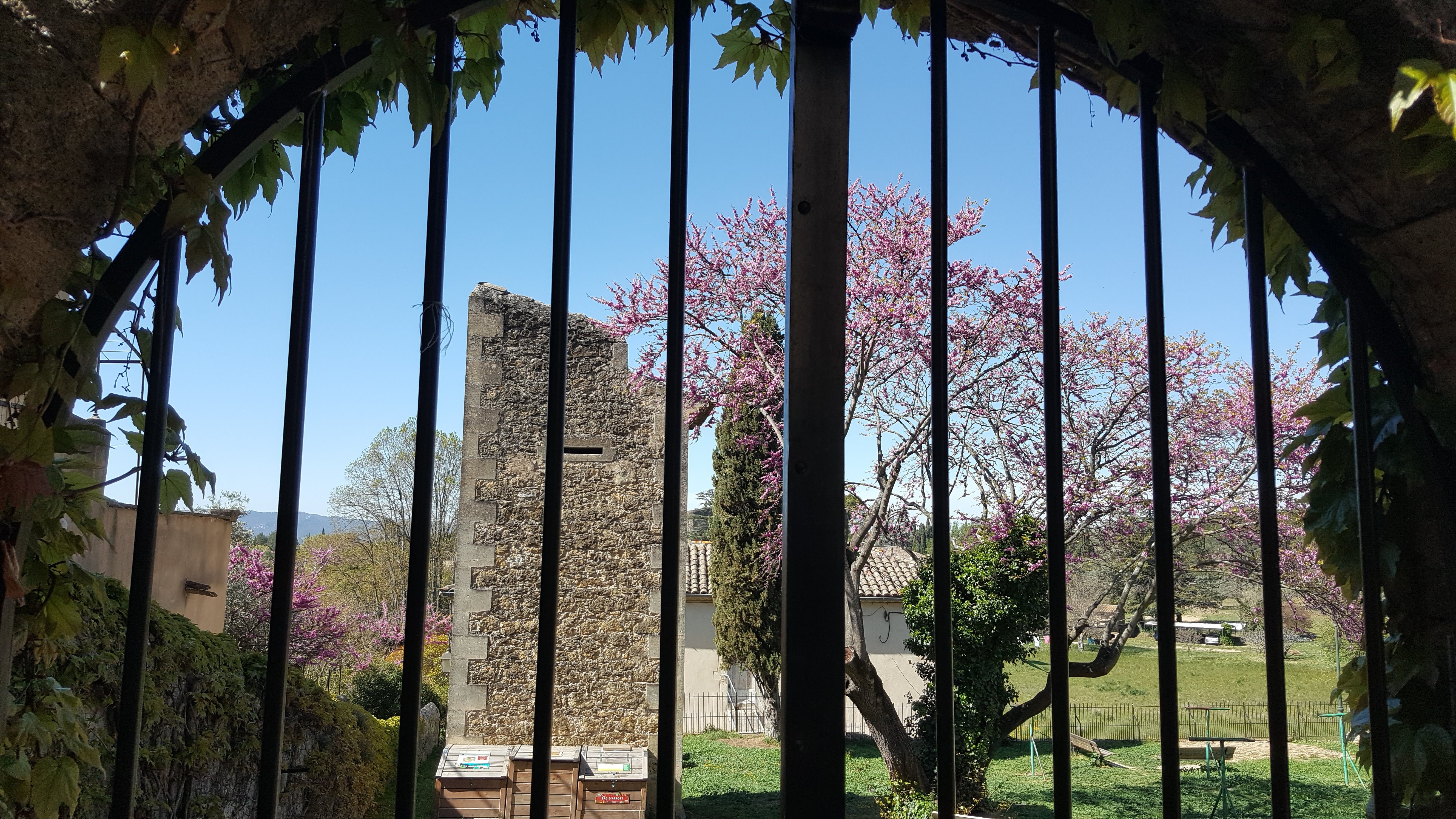 Photo n° 4 de l'avis de Marcelle-Line.o fait le 17/04/2023 à 18:33