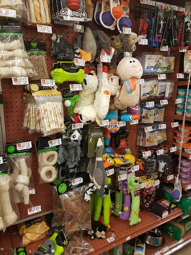 Grocery Store «Hannaford Supermarket», reviews and photos, 773 Stillwater Ave, Bangor, ME 04401, USA