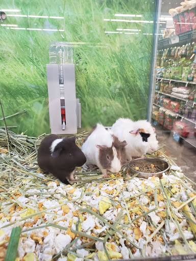 Pet Store «PetSmart», reviews and photos, 10451 Baltimore St NE, Blaine, MN 55449, USA