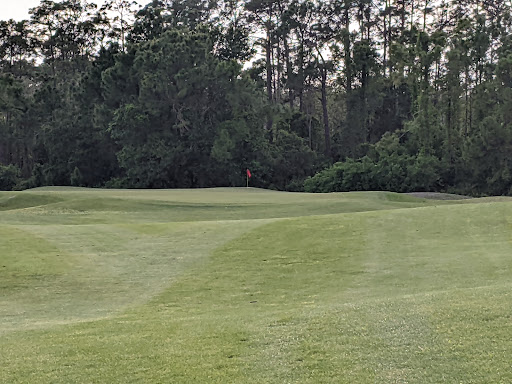 Golf Course «Harmony Golf Preserve», reviews and photos, 7252 5 Oaks Dr, St Cloud, FL 34773, USA