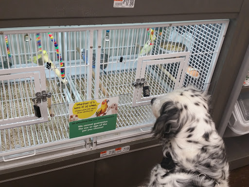 Pet Supply Store «Pet Supplies Plus», reviews and photos, 2801 Wade Hampton Blvd #100, Taylors, SC 29687, USA