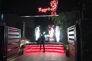 TigerBay image