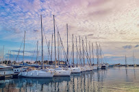 Francis T Webster Appraisal Partners - Photo 4 - Car repair in Kirkland, WA, Bellevue