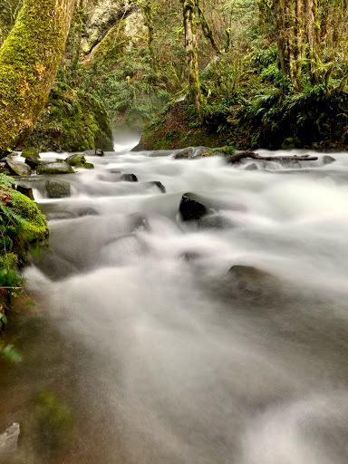 Tourist Attraction «Bridal Veil Falls», reviews and photos, E Crown Point Hwy, Bridal Veil, OR 97010, USA