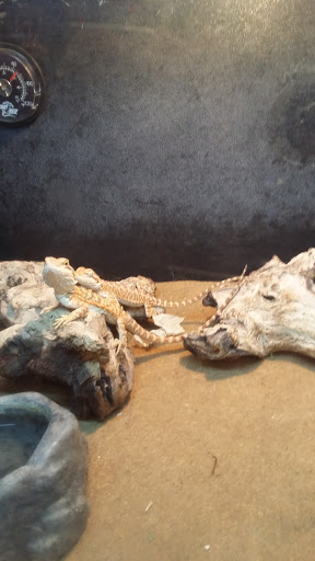 Pet Supply Store «PetSmart», reviews and photos, 19 Clifton Country Rd, Clifton Park, NY 12065, USA