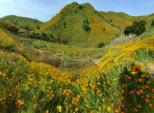 National reserve Riverside