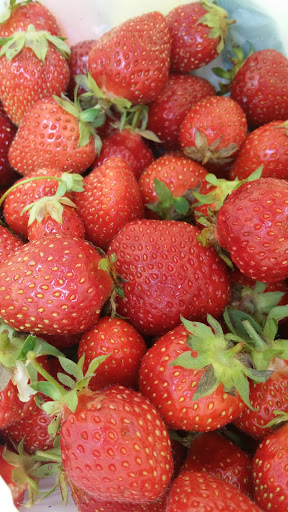 Farm «Green Meadows Farm», reviews and photos, 656 Asbury St, South Hamilton, MA 01982, USA