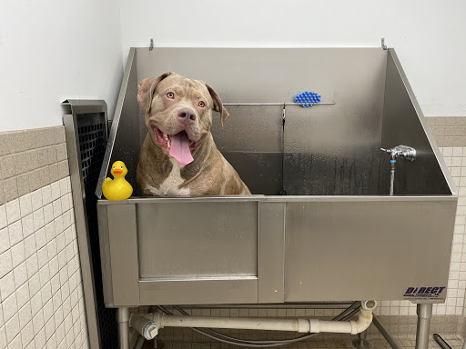 Pet Supply Store «Pet Life | Supplies, Services & Knowledge», reviews and photos, 20 Portsmouth Ave, Stratham, NH 03885, USA