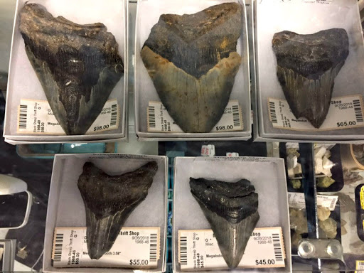 Thrift Store «Black Sheep Thrift Shop», reviews and photos, 323 Drum Point Rd, Brick, NJ 08723, USA