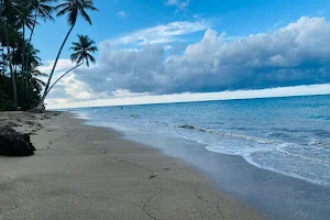Playa Rogelio image