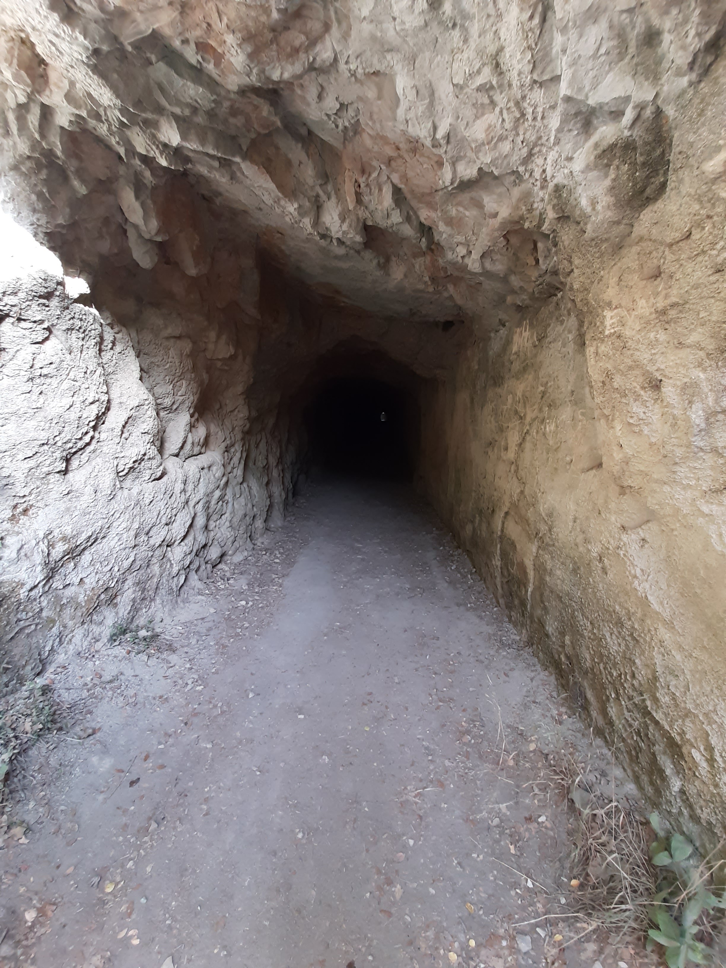 Photo n° 17 de l'avis de Laure.a fait le 17/10/2021 à 17:43