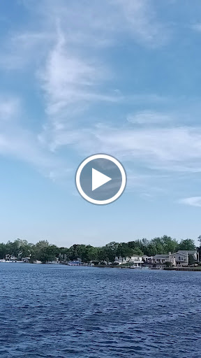 Dollar Store «Dollar Tree», reviews and photos, 723 W State Rte 22, Lake Zurich, IL 60047, USA