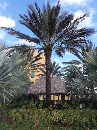 Casino «Seminole Casino Hotel Immokalee», reviews and photos, 506 S 1st St, Immokalee, FL 34142, USA