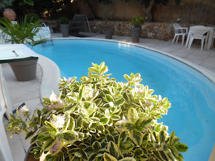 Photo n°49 de Restaurant Le Vulcano à Châlons-en-Champagne ()