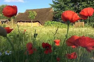 Erve Eme Archeologisch Openluchtmuseum image