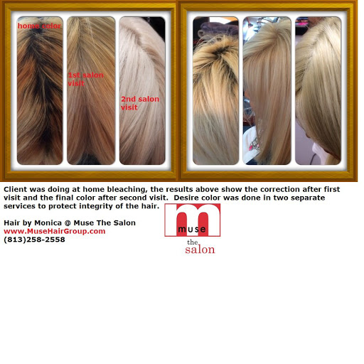 Hair Salon «Muse The Salon - Best Hair Salon Tampa», reviews and photos, 209 N Armenia Ave, Tampa, FL 33609, USA