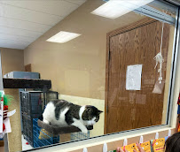 4 Paws Unleashed Inc - Photo 4 - Car repair in Des Moines, IA, Des Moines