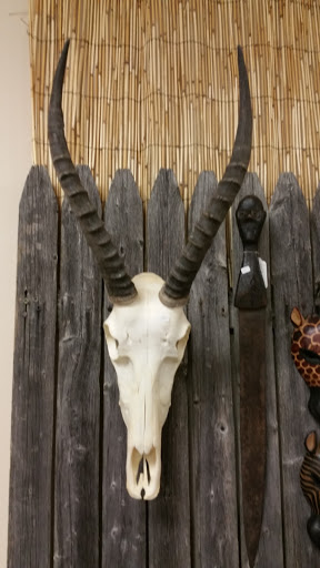 Rock Shop «Prospectors Crystals, Rocks & Gift Shop», reviews and photos, 1640 Gravois Rd, High Ridge, MO 63049, USA