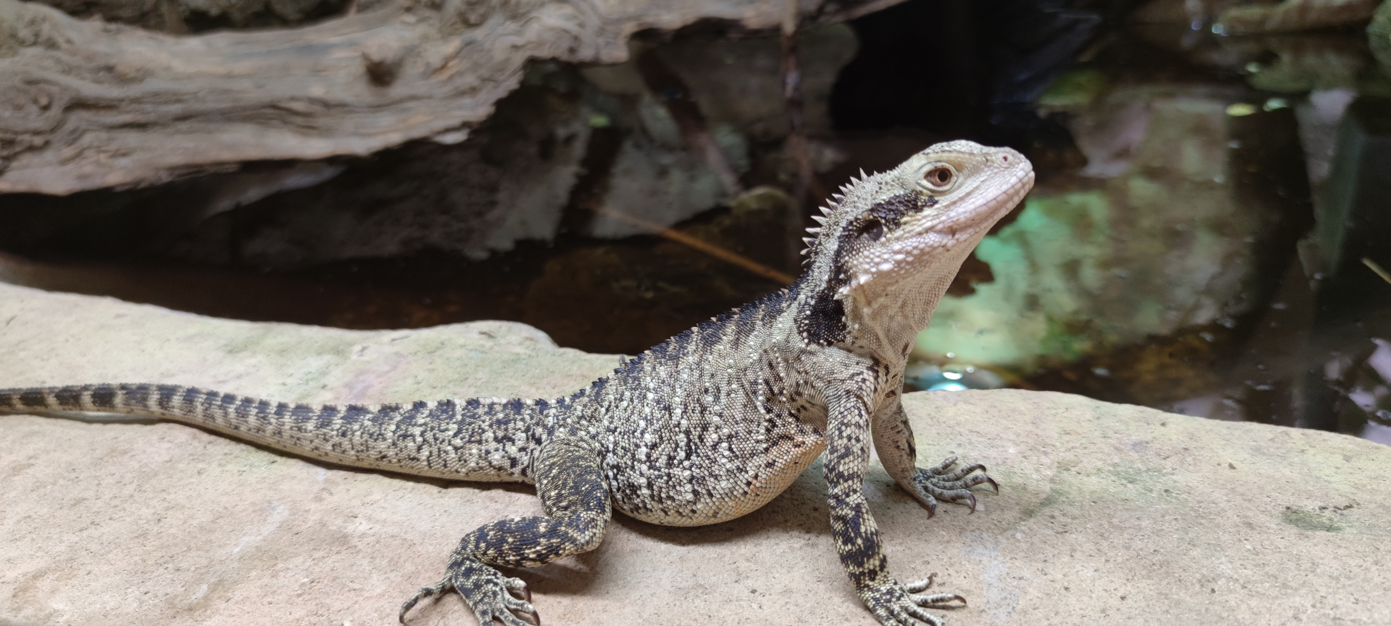 Photo n° 2 de l'avis de Med.4 fait le 17/11/2021 à 13:25