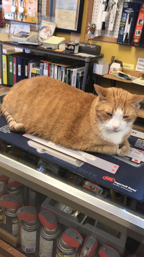 Locksmith «Sarasota Lock & Key», reviews and photos, 1342 N Lime Ave, Sarasota, FL 34237, USA