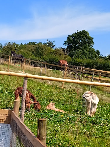 Centre équestre La Ferme de Mon Enfance Wailly-Beaucamp