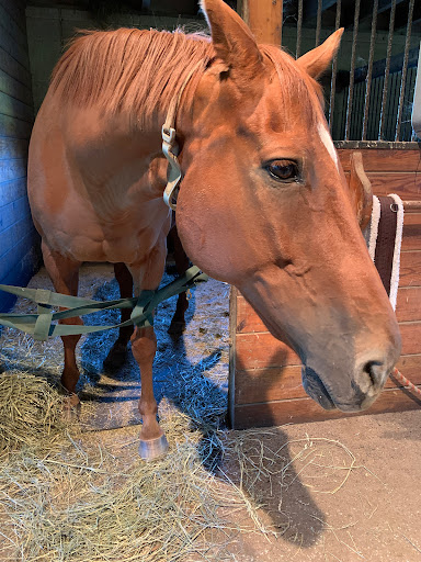 Sporting Goods Store «Falls Road Running Store», reviews and photos, 6247 Falls Rd, Baltimore, MD 21209, USA