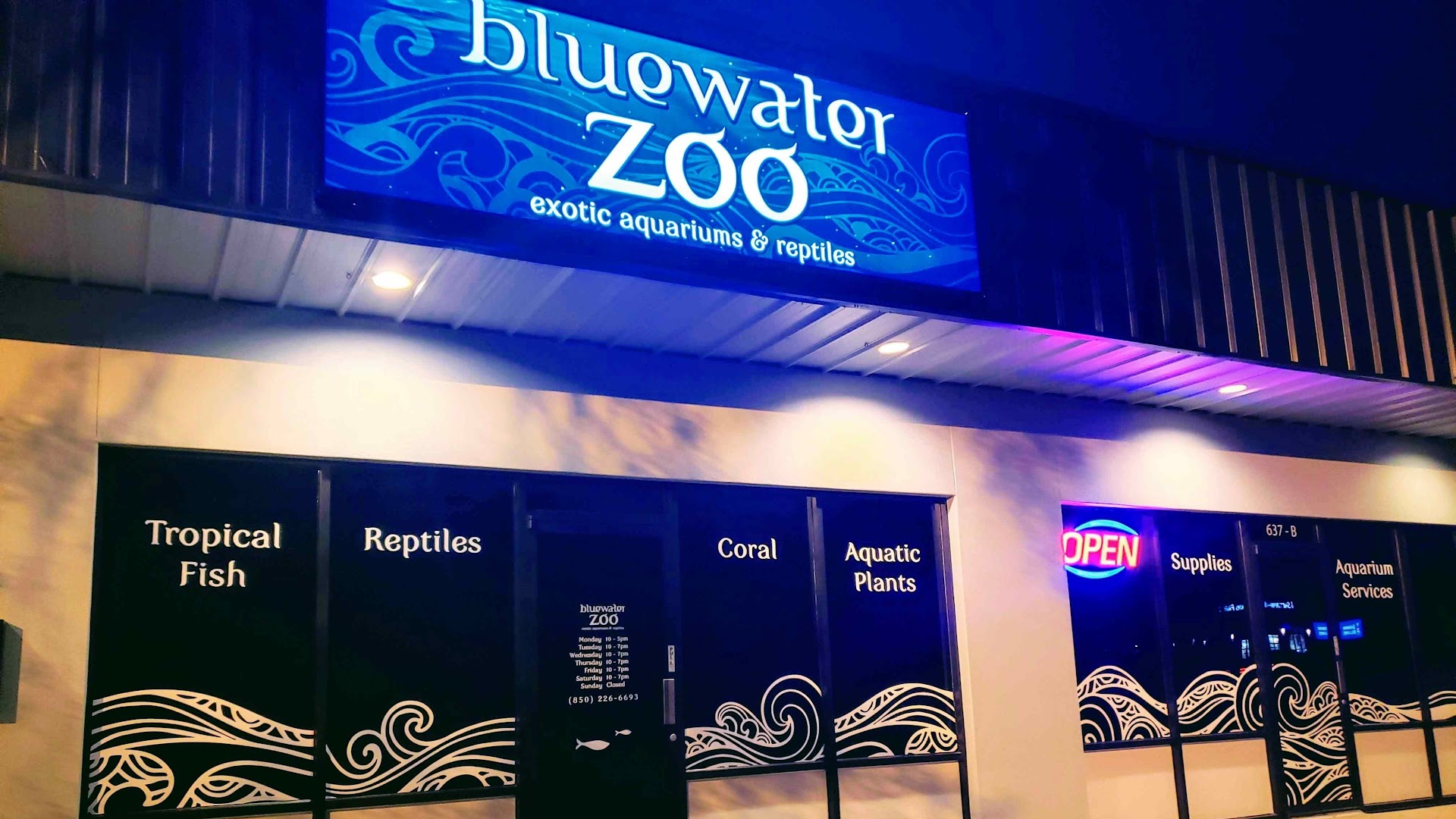 Bluewater Zoo Exotic Aquariums & Reptiles