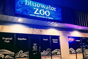 Bluewater Zoo Exotic Aquariums & Reptiles image