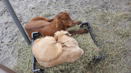 Toyota Dealer «Fred Anderson Toyota of Asheville», reviews and photos, 777 Brevard Rd, Asheville, NC 28806, USA