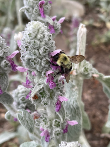 Amusement Park «Boulder Creek Amusement Park», reviews and photos, 14208 S St, Omaha, NE 68137, USA