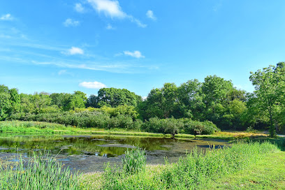 Raymond Brook Preserve