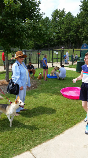 Pet Groomer «Pause 4 Paws Pet Grooming And Hotel», reviews and photos, 3770 W County Line Rd, Douglasville, GA 30135, USA