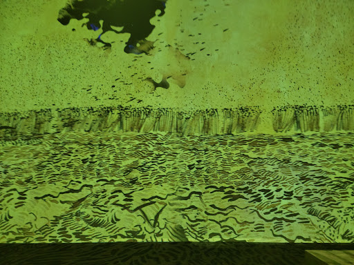 Van Gogh Sacramento Exhibit The Immersive Experience image