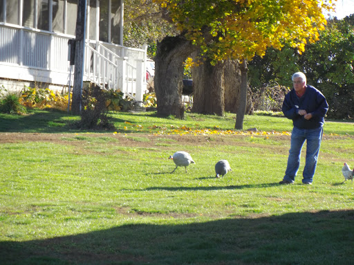 Winery «Strawbale Winery», reviews and photos, 47215 257th St, Renner, SD 57055, USA