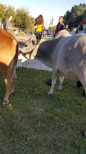 Recreation Center «Dalworth Recreation Center», reviews and photos, 2012 Spikes St, Grand Prairie, TX 75051, USA