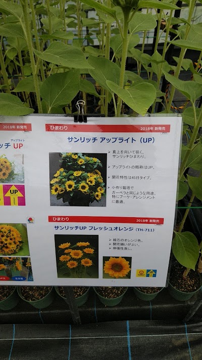 タキイ種苗 長野研究農場 富士見試験地