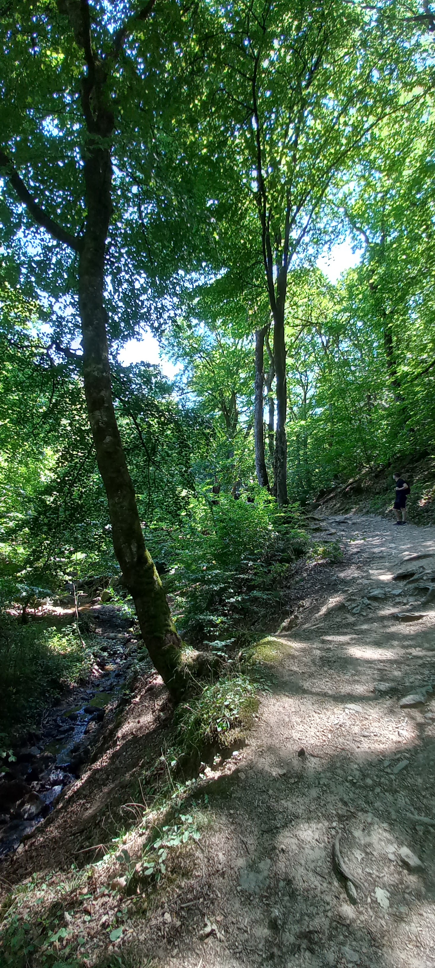 Photo n° 27 de l'avis de Françoise.o fait le 06/08/2022 à 20:53