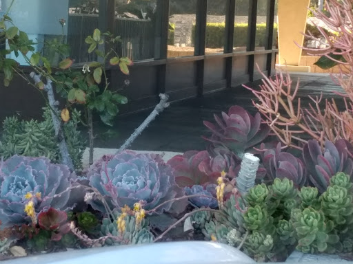 Tobacco Shop «Amsterdam Smoke Shop», reviews and photos, 5901 Warner Ave, Huntington Beach, CA 92649, USA