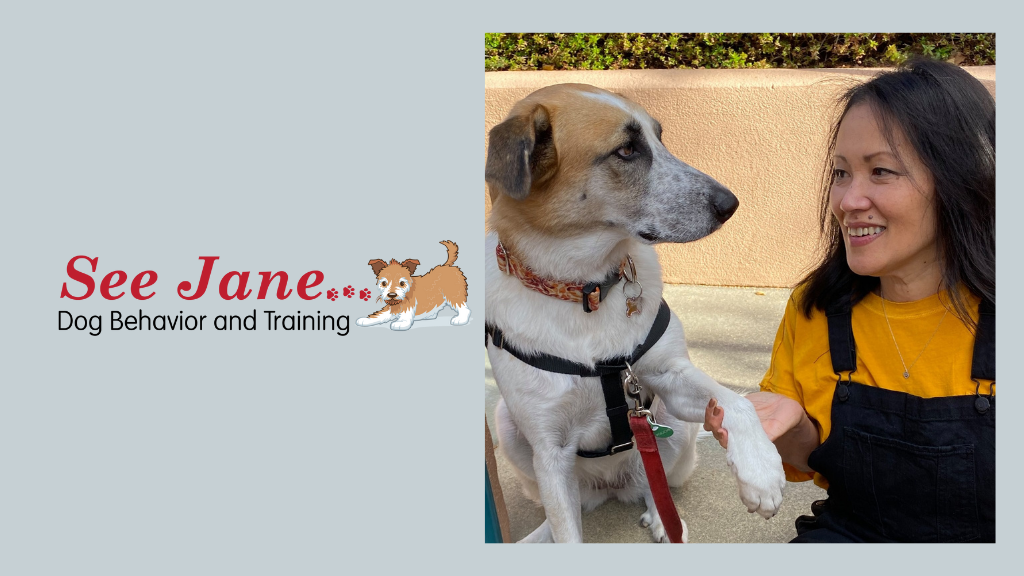 See Jane Dog Behavior and Training